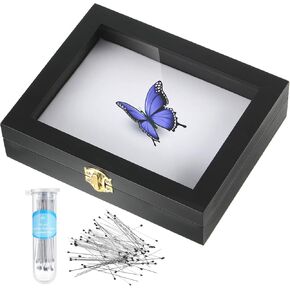 Insect Display Case Box Collection Box with Clear Top, EVA Foam Pinning Board and 100 Pieces Pins Insect Shadow Box Kit Entomology Supplies for Collecting Butterfly Specimen (Brown)