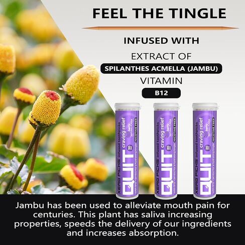 Xero Picks أعواد أسنان مملوءة بالنكهات للمساعدة في الإقلاع عن التدخين - خالية من النيكوتين (شاي تشاي، 3 عبوات) in Kuwait