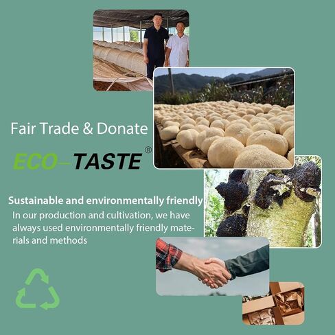 ECO-TASTE Mushroom Coffee Mix, Designed for Gut-Health with Chaga, Lion's Mane, Turkey Tail, Yacon and Probiotics – 12 Sachets in Saudi Arabia