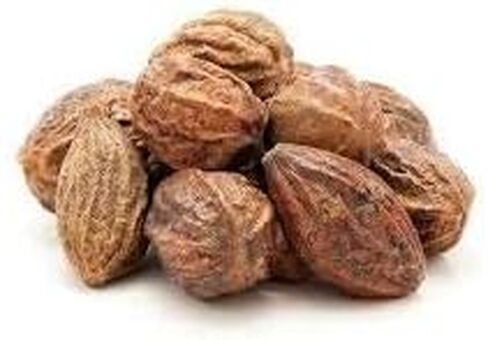 مسحوق هاريتاكي النباتي من بيكسا (Terminalia Chebula) 16 أونصة / 1 رطل | يدعم الهضم السليم | تطهير الأمعاء الطبيعي | مكمل عشبي نقي in Saudi Arabia