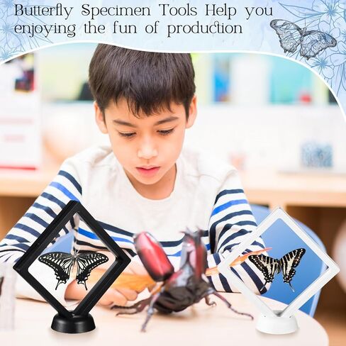 مجموعة أدوات عينات الحشرات، عينة الفراشة لتعليم الفصول الدراسية، دبابيس الحشرات، أجنحة الضغط، ملاقط ورقية، مقص، قفازات، علبة عرض الحشرات، مجموعة الحشرات لمشاريع بيولوجيا الحشرات in Kuwait