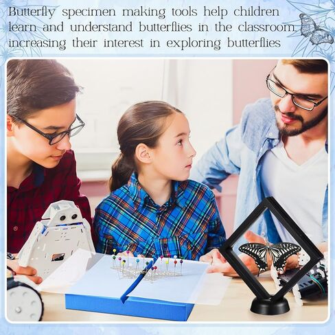 مجموعة أدوات عينات الحشرات، عينة الفراشة لتعليم الفصول الدراسية، دبابيس الحشرات، أجنحة الضغط، ملاقط ورقية، مقص، قفازات، علبة عرض الحشرات، مجموعة الحشرات لمشاريع بيولوجيا الحشرات in Kuwait