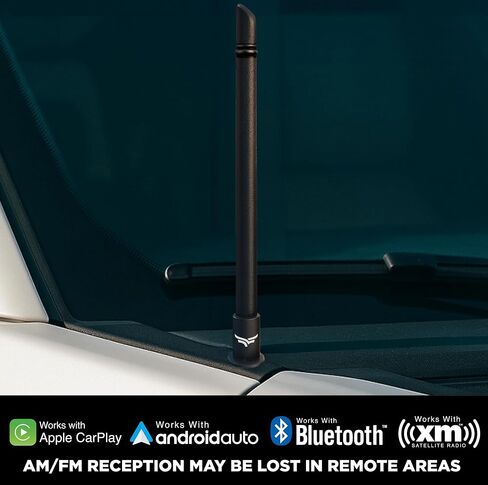 EcoAuto Short Truck Antenna Replacement for Ford F150 Super Duty Ford Raptor & Bronco & Dodge Ram 1500 F150 Accessories - Raptor Accessories - Anti-Theft Design - Antenna for Truck - (8 Inch) in Kuwait