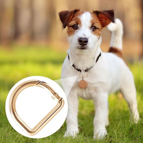 6pcs d keychain clip ، zinc alloy carabiner d heavy duted dicked ، spring snap clasp hook for camping trailing fish-fish-silver & gold & black in Saudi Arabia