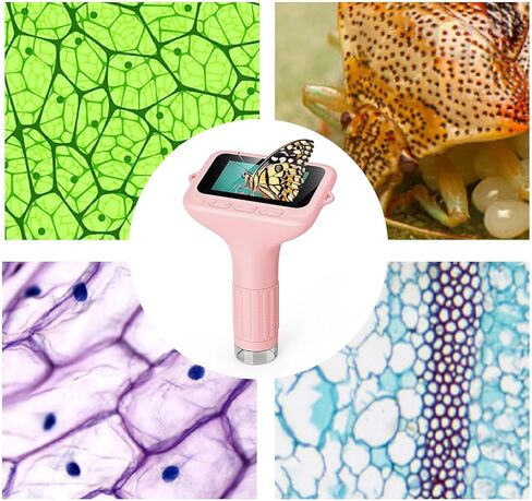 المجهر الرقمي Zunate ، 3 بوصة محمولة محمولة الزجاج المكبرة 1000x مع شاشة LCD 8 مصابيح LED ، يدوي مركّب جيب للمصانع تعليم الشعر (البنفسجي) in Kuwait