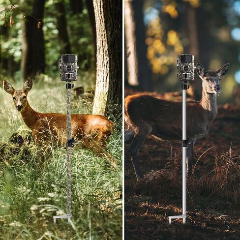 2 Pack Trail Camera Stand Mount Foldable Stainless Steel Game Camera Stand Bracket 360° Adjustable 1/4''-20 (6mm) Screw Connection Trail Stake with Camo Tapes for Deer Cam Accessories in Saudi Arabia
