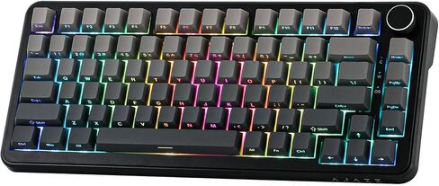 AJAZZ AK820 MAX HE Hall Effect Magnetic Gaming Keyboard, Adjustable Actuation, 8KHz Polling Rate, Wired Rapid Fast Keyboard, Creamy Gasket, RGB Backlight, NKRO for Win/Mac (Gradient Grey) in Saudi Arabia