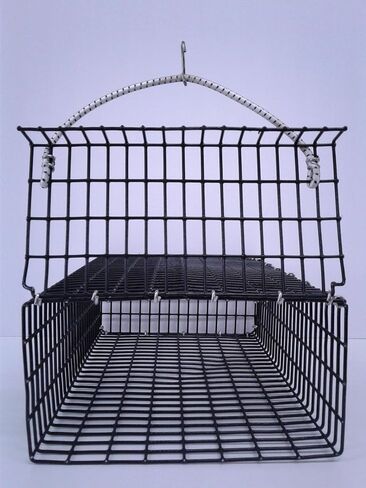 CHUM Box Marine Grade PVC Coating Black Wire mesh Pot Fishing Bait cage 12x8x4 in Saudi Arabia