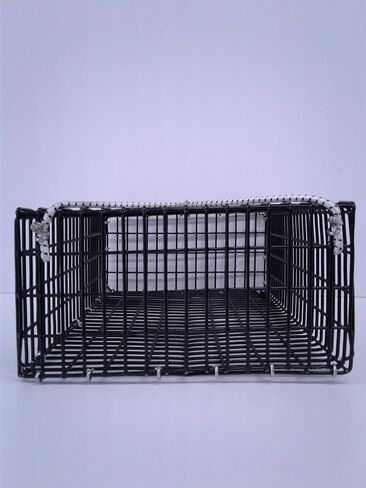 CHUM Box Marine Grade PVC Coating Black Wire mesh Pot Fishing Bait cage 12x8x4 in Saudi Arabia