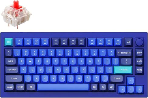 Keychron Q1 RGB لوحة مفاتيح ميكانيكية مخصصة مخصصة ، 75 ٪ تخطيط خلفي RGB مع Gateron G Gateron G Pro Red Switch مزدوج متوافق مع Mac Windows Linux (Blue) -version 2 in Saudi Arabia