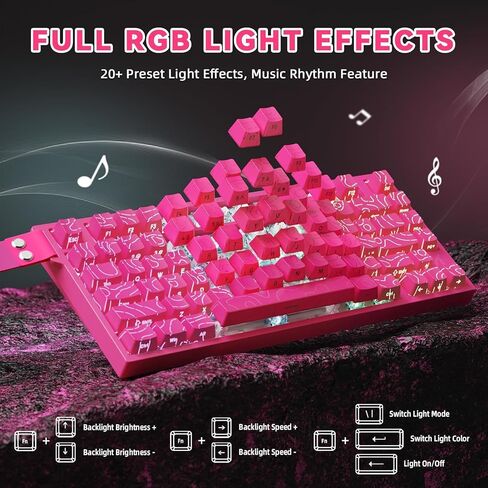 الهجوم Shark R82 He Rapid Trigger Wired Mechanical Gaming Keyboard TKL NKRO مع اقتراح 8K ، دقة 0.005 مم RT ، معدل المسح الضوئي 256K ، 5 طبقة صوتية ، مفتاح مغناطيسي تأثير القاعة ، برنامج تشغيل للكمبيوتر MAC (أسود) in Saudi Arabia