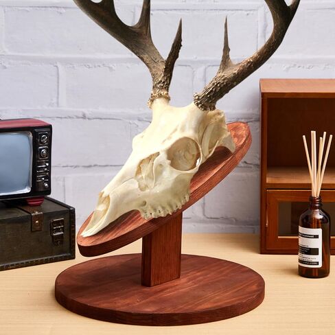 Taiyin 1 Set Deer Head Mount Kit Solid Pine Skull Display Europeanermy Mount Skull Handting Hunting Plaque for Bear Boar Wall Table Display in Saudi Arabia