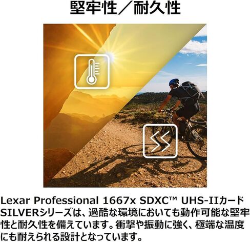 Lexar LSD128CB1667 SDXC Card, 128 GB Silver Series, 1667x UHS-II Class 10, U3, V60, Maximum Read: 250MB/s Max Write: 120MB/s in Saudi Arabia