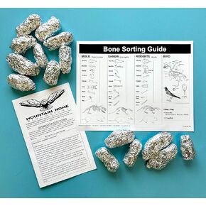 Mountain Home Biological Extra Large barn owl pellets, Pack of 15, with Bone Sorting Sheet