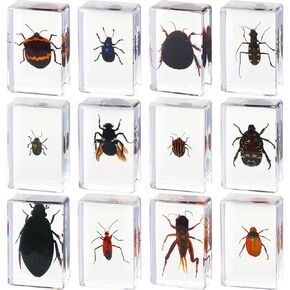 Macarrie 12 Pcs Insect in Resin Specimen Bugs Collection Paperweights Arachnid Resin Specimen Different Insect Specimen Bug Preserved in Resin for Kids Scientific Educational Toy, 12 Styles (Ladybug)