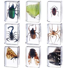 9 Pcs Insect in Resin Specimen Bugs Collection Paperweights Arachnid Butterfly Bug Toys Different Real Bugs in Resin Educational Science Classroom Specimens Display Supplies, 9 Styles