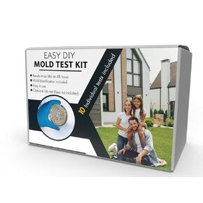 Mold Testing Kit with 10 Individual Tests - DIY Mold Test Kit for Home - Includes Detailed Mold Identification Guide - Fast and Reliable Mold Detector for Home