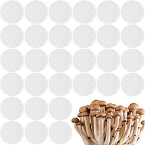 30 Pieces Synthetic Filter Paper Stickers 0.3 μm Synthetic Filter Disc Wide Mouth Circular Adhesive Filter Patch Sticker for Mushroom Cultivation Wide Mouth Jar Lids Mason Jars (2.28 Inch)