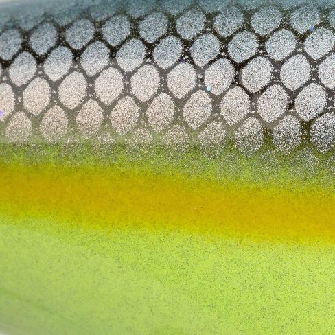 Strike King (HC6XDE-539) 6XD Elite Fishing Lure, Deep Diving Crankbait, 1-Ounce, Unique Curved Bill, Dives to 19-Feet, Rattle Chambers, Size 1 Mustad Triple Grip Hooks, Chartreuse Sexy Shad 2.0 in Saudi Arabia