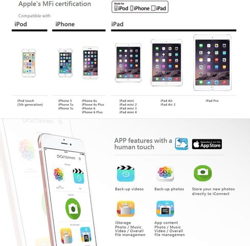 Iconnect Mini [Apple Mfi] 32 GB Mobile Flash Drive w/ Lightning Connector for iPhones iPads Mac & PC USB 3.0 (Iron Gray) in Saudi Arabia