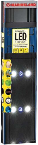 Marineland Advanced LED Strip Light for Salt & Fresh Water Aquariums in Saudi Arabia