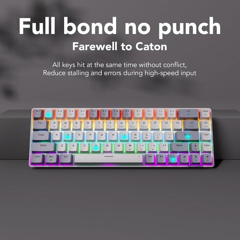 Wired Mechanical Gaming Keyboard, 65% Layout RGB Backlit USB C, Hot Swappable Tactile Switch, Double-Shot PET Keycaps, Office, Win/Mac, White&Green in Saudi Arabia