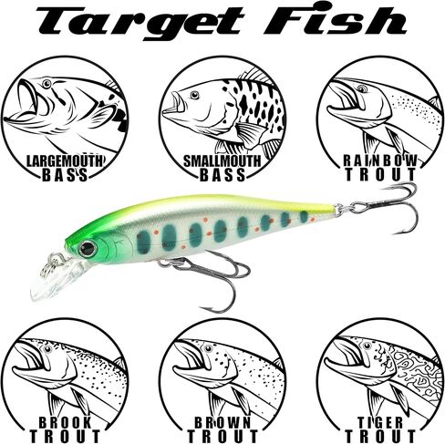 مؤشر Lucky Craft 65s ~ غرق ~ إغراء تراوت ، طعم صيد ، Jerkbait in Saudi Arabia