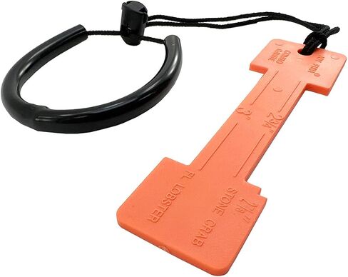 سرطان البحر البلاستيكي ومقياس جراد البحر فلوريدا in Kuwait