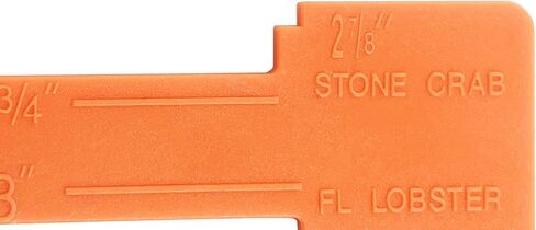 سرطان البحر البلاستيكي ومقياس جراد البحر فلوريدا in Kuwait