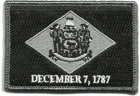 Gadsden and Culpeper Tactical State Patch - Delaware in Saudi Arabia