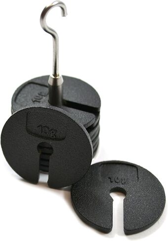 EISCO Labs Slotted Masses Set- Zinc Casted, Set of 9 Weights, one Hanger Each of 10g, Total 100g in Kuwait