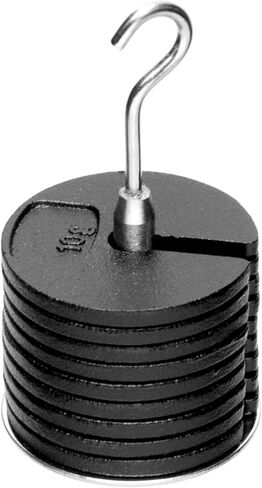 EISCO Labs Slotted Masses Set- Zinc Casted, Set of 9 Weights, one Hanger Each of 10g, Total 100g in Kuwait