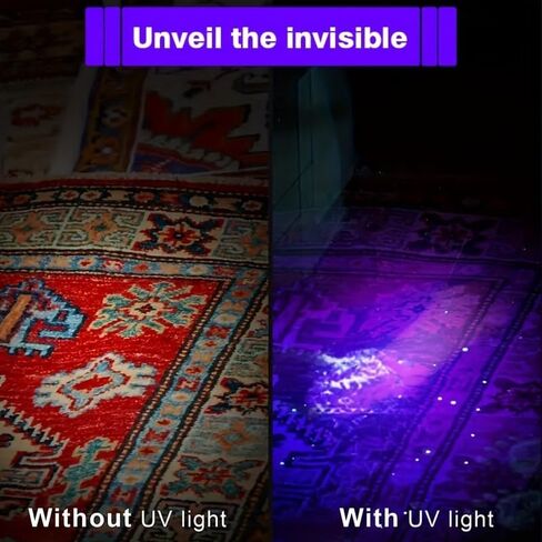 1pcs UV Blacklight Flashlight Mini Blacklight مصباح يدوي ضوء للكشف عن تسرب الماء ، بول الحيوانات الأليفة ، تفتيش الفنادق ، البقع الجافة والأصباغ in Saudi Arabia