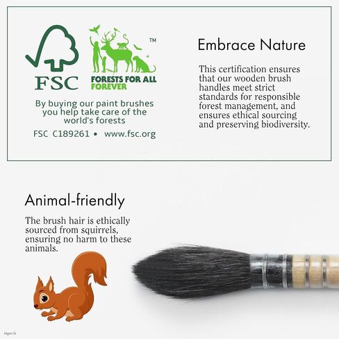 ARTIFY Professional Natural Squirrel Hair Quill Watercolour Brushes | Mop Round Fine Tip Watercolor Paint Brush for Large Strokes Smudging | Ideal for Watercolor and Gouache Painting (#0) in Kuwait