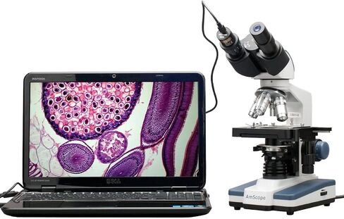 AmScope B120C-WM Siedentopf Binocular Compound Microscope, 40X-2500X Magnification, Brightfield, LED Illumination, Abbe Condenser, Double-Layer Mechanical Stage, Includes Book in Kuwait