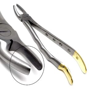 Dental Extracting Extraction Serrated Forceps Mead MD2, 1st, 2nd, 3rd Molar, Premium Quality Gold Handle, Stainless Steel