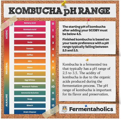Kombucha pH Test Strips - pH Range 0-6 | 100 Test Sticks | Instant Read | Food Service, Brewing and Fermentation Test Strips in Saudi Arabia