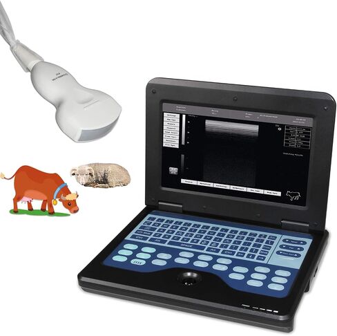 Portable Vet/Veterinary B-Ultrasound Scanner with 3.5Mhz Convex Probe for Horse,Goat,Cow,Sheep and Pig use in Saudi Arabia