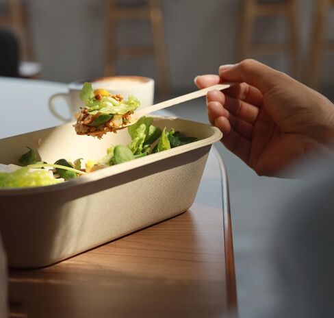 80 Pack Compostable Paper Bowls with Lids, 23 Oz Disposable Take Out Food Containers Biodegradable Take Out Salad Bowls for Kitchen Restaurant Party Food Supplies Meal Prep in Saudi Arabia
