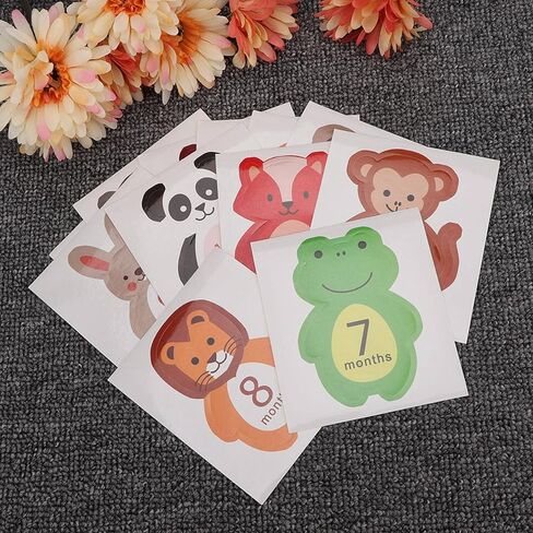 الأطفال المولود حديث الولادة شهرية مجموعة تصميم كرتون لطيف 12pcs لذكريات المعالم الدعائم صور in Kuwait