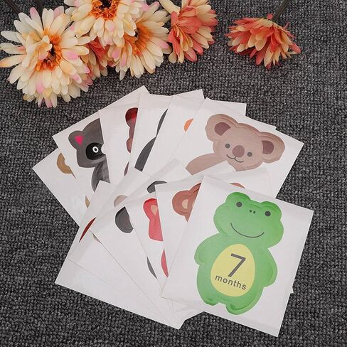 الأطفال المولود حديث الولادة شهرية مجموعة تصميم كرتون لطيف 12pcs لذكريات المعالم الدعائم صور in Kuwait