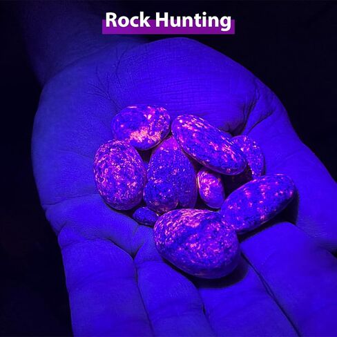 2-in-1 365nm UV Flashlight & High Lumens LED Flashlight, 7 Modes Rechargeable, 18H Runtime, IPX5 Waterproof Black Light for Pet Urine Detection, Curing Resin, Outdoor Emergencies, Scorpion Hunting in Saudi Arabia