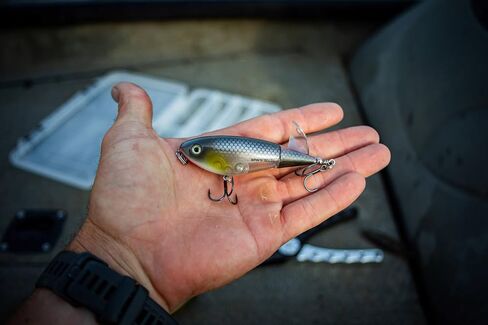 HEDDON SPIN'N صورة in Saudi Arabia