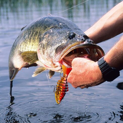 Fishing Lures,10cm 15.6g Plastic Artificial Lifelike Fake Lure Fishing Tackle Tools Accessory for Fishing Enthusiast Fishing Lovers Bass Trout Fishing in Saudi Arabia