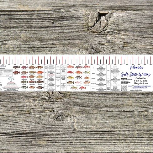 Generic Florida Gulf Coast Fishing Regulations and Fish ID Fish Ruler Decal - Updated Regularly as New Regulations Take Effect in Saudi Arabia