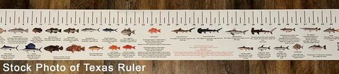 Generic Florida Gulf Coast Fishing Regulations and Fish ID Fish Ruler Decal - Updated Regularly as New Regulations Take Effect in Saudi Arabia