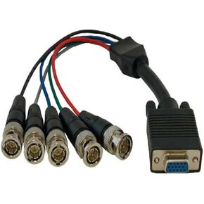 1 أقدام. in Kuwait