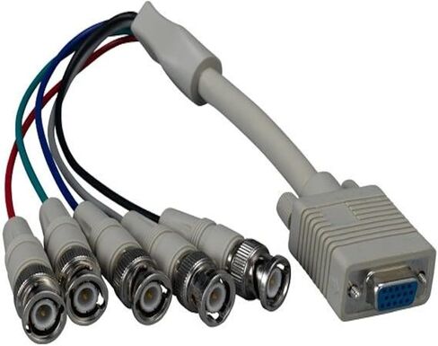 1 أقدام. in Kuwait