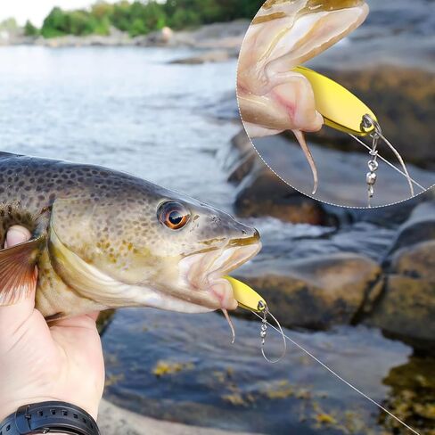 HESTYA Fishing Lures Spoons Saltwater Treble Trout Lures Hard Metal Spinner Baits 5 Sizes Casting Spoon Hooks for Salmon Bass in 1/5 1/4 3/8 1/2 3/4 oz in Kuwait