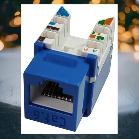 3013A-8-C6-Bl- الفئة 6 Jack Blue (10p/bag) in Kuwait